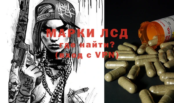 стаф Белокуриха