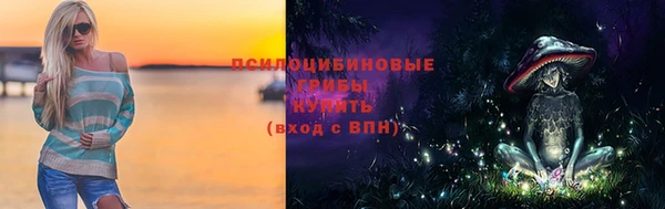 хмурый Богородск