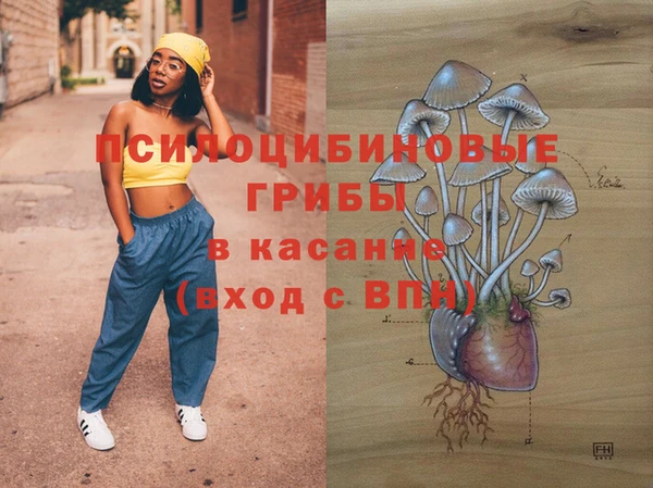 ГАЛЛЮЦИНОГЕННЫЕ ГРИБЫ Богородицк
